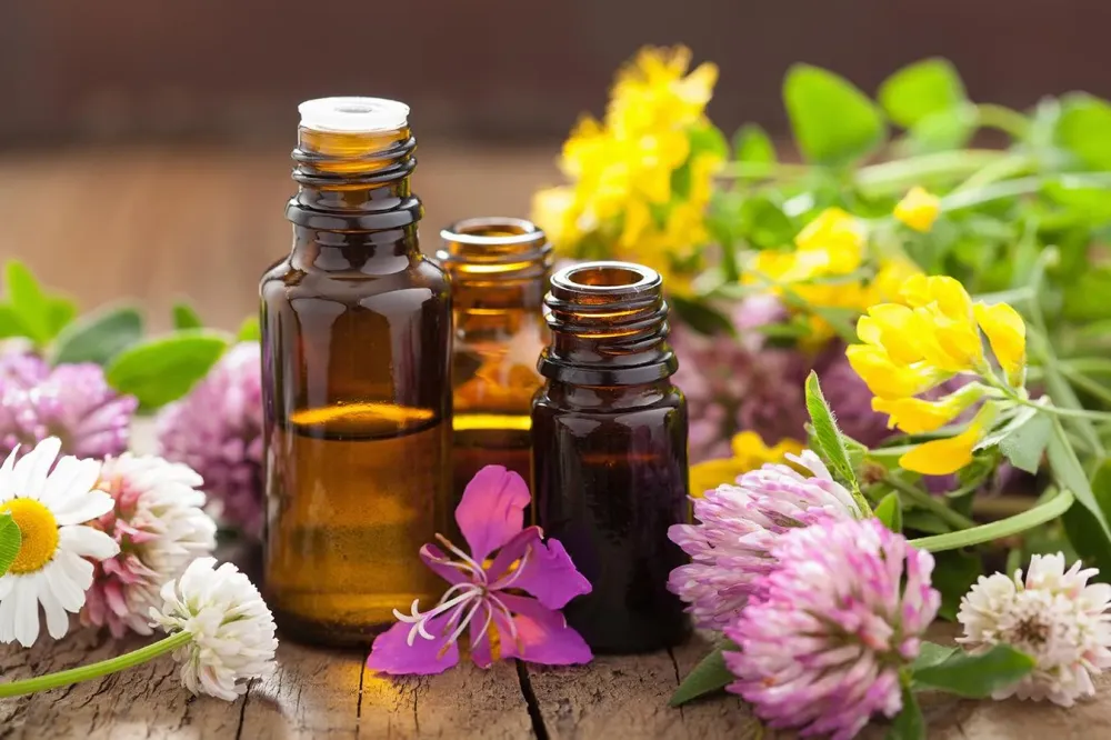 Aromathérapie près de Anglet